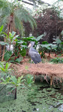 神戸どうぶつ王国に投稿された画像（2021/12/5）