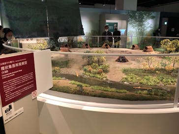 特別展「縄文2021―東京に生きた縄文人―」(江戸東京博物館）に投稿された画像（2021/12/5）
