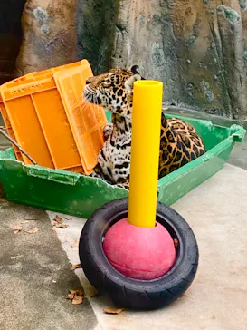 天王寺動物園に投稿された画像（2021/12/5）