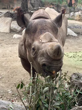 天王寺動物園に投稿された画像（2021/12/5）