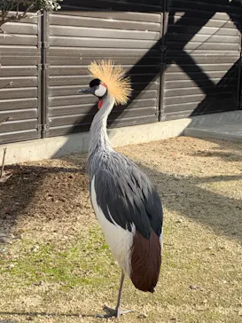 天王寺動物園に投稿された画像（2021/12/5）
