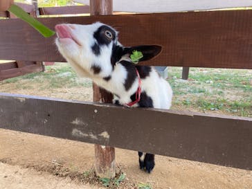 沖縄こどもの国に投稿された画像（2021/12/5）