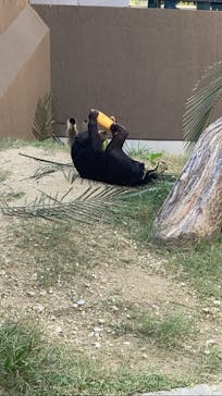 沖縄こどもの国に投稿された画像（2021/12/5）