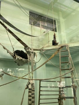 沖縄こどもの国に投稿された画像（2021/12/5）