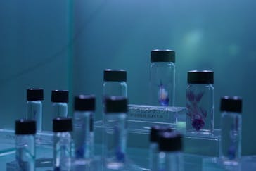 マクセル アクアパーク品川に投稿された画像（2021/12/5）