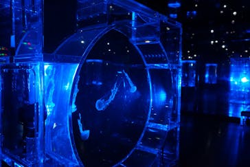 マクセル アクアパーク品川に投稿された画像（2021/12/5）