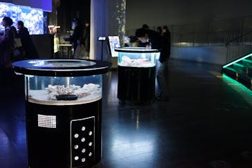 マクセル アクアパーク品川に投稿された画像（2021/12/5）