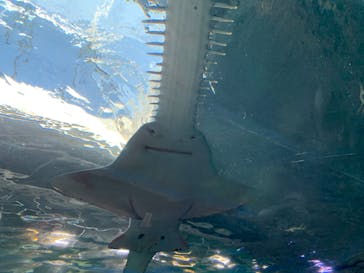 マクセル アクアパーク品川に投稿された画像（2021/12/5）