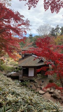 三溪園に投稿された画像（2021/12/5）