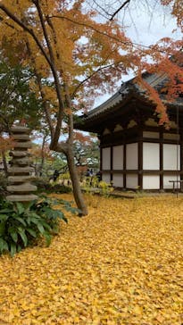 三溪園に投稿された画像（2021/12/5）