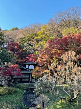 三溪園に投稿された画像（2021/12/5）