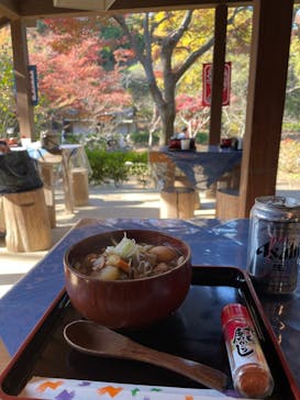 三溪園に投稿された画像（2021/12/5）