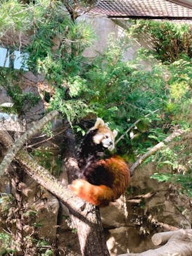 那須どうぶつ王国に投稿された画像（2021/12/5）