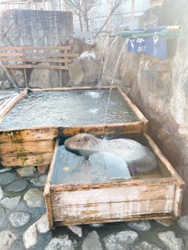 那須どうぶつ王国に投稿された画像（2021/12/5）