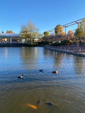 東武動物公園に投稿された画像（2021/12/5）