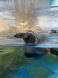 新江ノ島水族館に投稿された画像（2021/12/5）