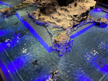 すみだ水族館に投稿された画像（2021/12/5）