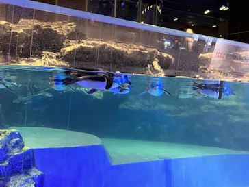 すみだ水族館に投稿された画像（2021/12/5）