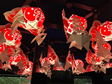 すみだ水族館に投稿された画像（2021/12/5）