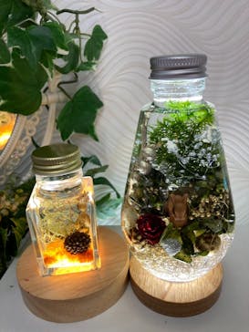 ずこうしつ〜sugamo〜に投稿された画像（2021/12/5）