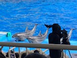 名古屋港水族館に投稿された画像（2021/12/5）