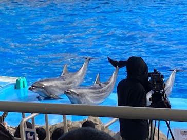 名古屋港水族館に投稿された画像（2021/12/5）