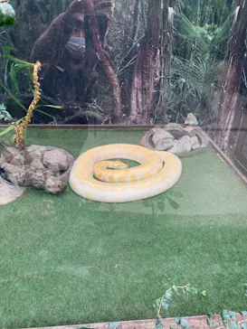 神戸どうぶつ王国に投稿された画像（2021/12/5）