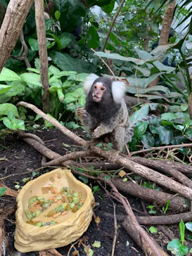 神戸どうぶつ王国に投稿された画像（2021/12/5）