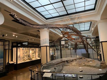 国立科学博物館に投稿された画像（2021/12/5）