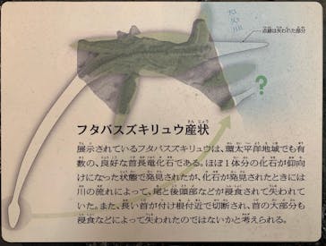 国立科学博物館に投稿された画像（2021/12/5）