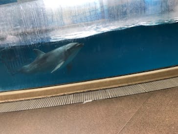 新江ノ島水族館に投稿された画像（2021/12/5）