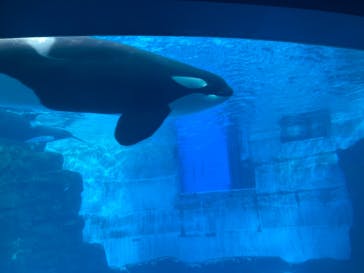 名古屋港水族館に投稿された画像（2021/12/5）