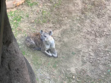 天王寺動物園に投稿された画像（2021/12/5）