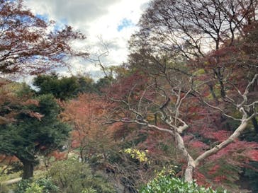 三溪園に投稿された画像（2021/12/5）