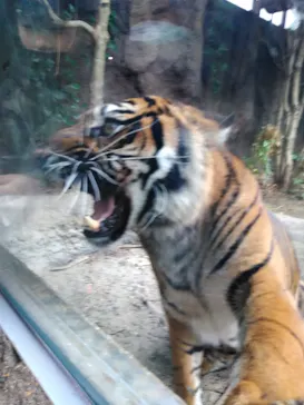 神戸どうぶつ王国に投稿された画像（2021/12/5）