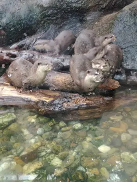 神戸どうぶつ王国に投稿された画像（2021/12/5）