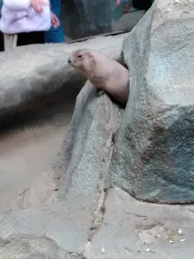 神戸どうぶつ王国に投稿された画像（2021/12/5）