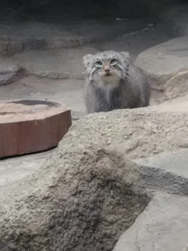 神戸どうぶつ王国に投稿された画像（2021/12/5）