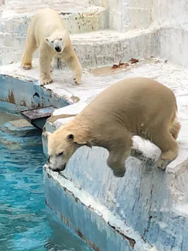 天王寺動物園に投稿された画像（2021/12/5）