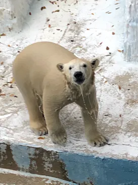 天王寺動物園に投稿された画像（2021/12/5）