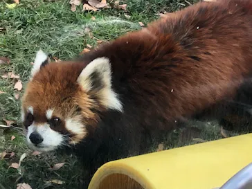 天王寺動物園に投稿された画像（2021/12/5）