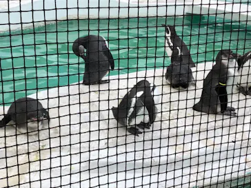 天王寺動物園に投稿された画像（2021/12/5）