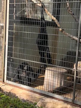 天王寺動物園に投稿された画像（2021/12/5）