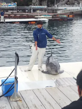 うみたま体験パーク 「つくみイルカ島」に投稿された画像（2021/12/5）