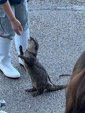 大分マリーンパレス水族館 「うみたまご」に投稿された画像（2021/12/5）