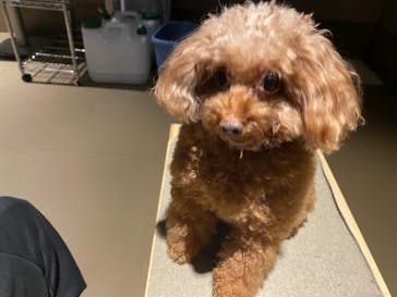 Moff animal world MARK IS みなとみらい店に投稿された画像（2021/12/5）