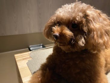 Moff animal world MARK IS みなとみらい店に投稿された画像（2021/12/5）