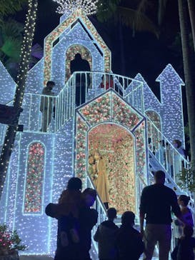 美らヤシパークオキナワ・東南植物楽園に投稿された画像（2021/12/5）