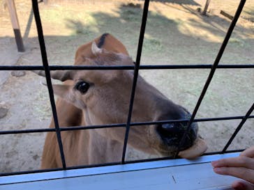 那須サファリパークに投稿された画像（2021/12/5）