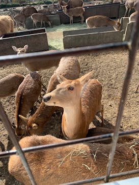 那須サファリパークに投稿された画像（2021/12/5）